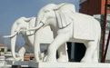 石雕大象適合擺放在哪里？